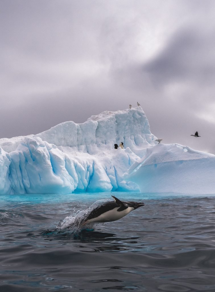 Antarctica _01